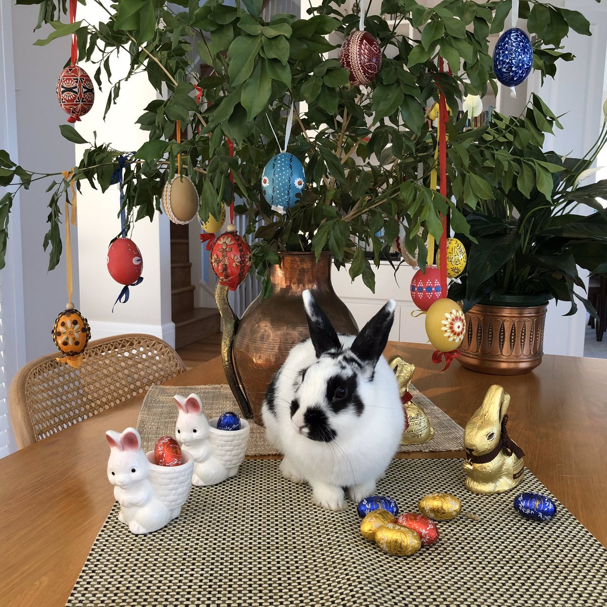 cbuddery_speech's tweet photo. Happy Easter 🐣 we caught a glimpse of the Easter bunny at our place when she came over to deliver some yummy Easter eggs 😊 https://t.co/gwAgJ118Jf