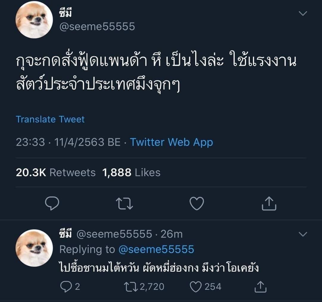 iiwswaaa1's tweet photo. เขียมจริงอันนี้🤣 #nnevy https://t.co/EJAFqbPPOu