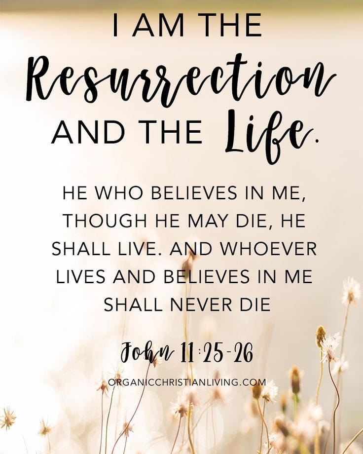 MdpMinx22's tweet image. Happy Easter Sunday✝️

#John3:16
#Matt28:6
#Easter