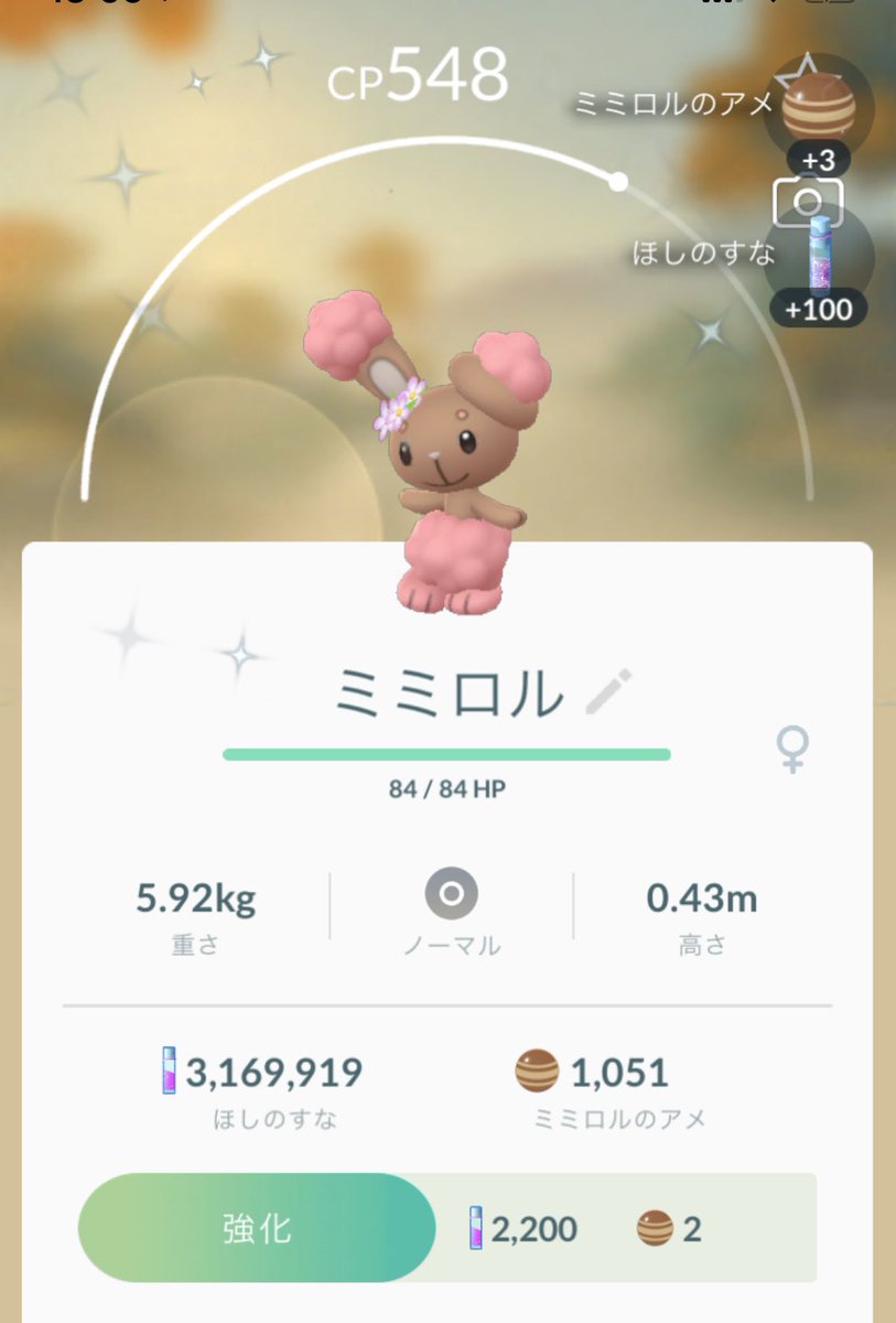 みぃな Eiji1030 على تويتر わーい せっかくの休みの日なのに外出出来ないから家でひたすらポケモンgo やってるけど 花飾りミミロルの色違いが出たぁぁ でも狙ってるのは金のタマタマ ポケモンgo ミミロル 色違い 花飾り 金タマ欲しい 自宅 自粛