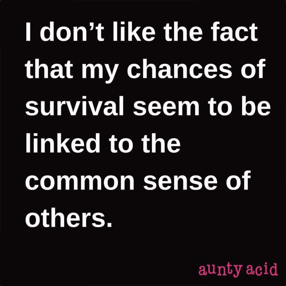 kimcormack's tweet image. #pandemicdiary #laughteristhebestmedicine