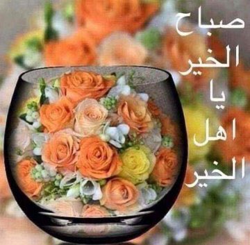 كل سنه وحضراتكم طيبين
صباح الفل والياسمين هلا وغلا