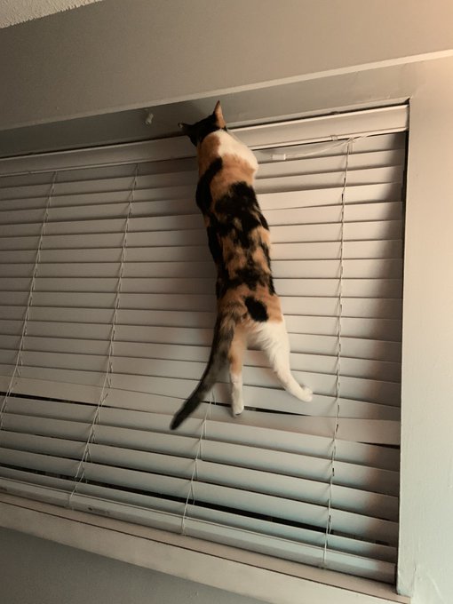 UMMMM EXCUSE ME ELLIE! https://t.co/odRLnoUhAx