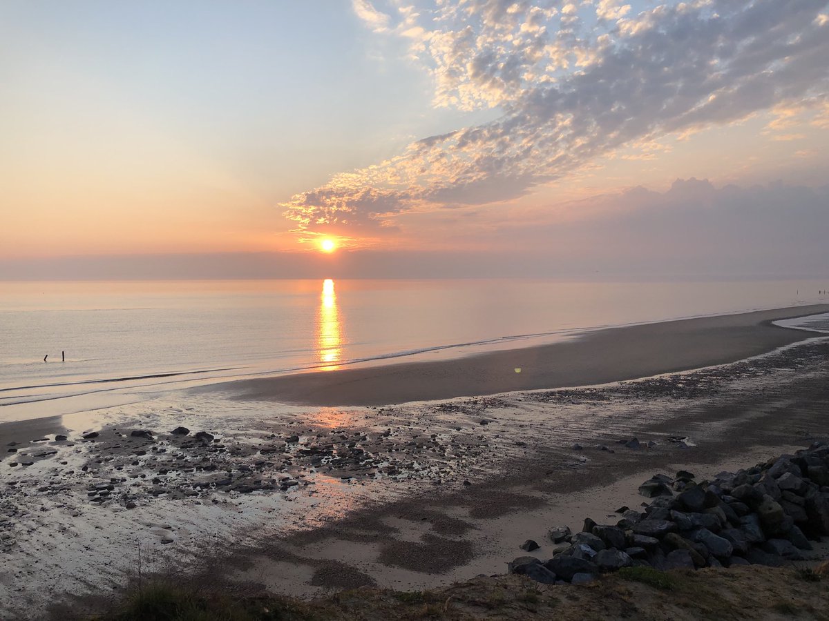 Catherine tweet media