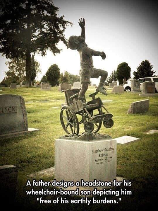 NeilKerr19's tweet image. Freedom