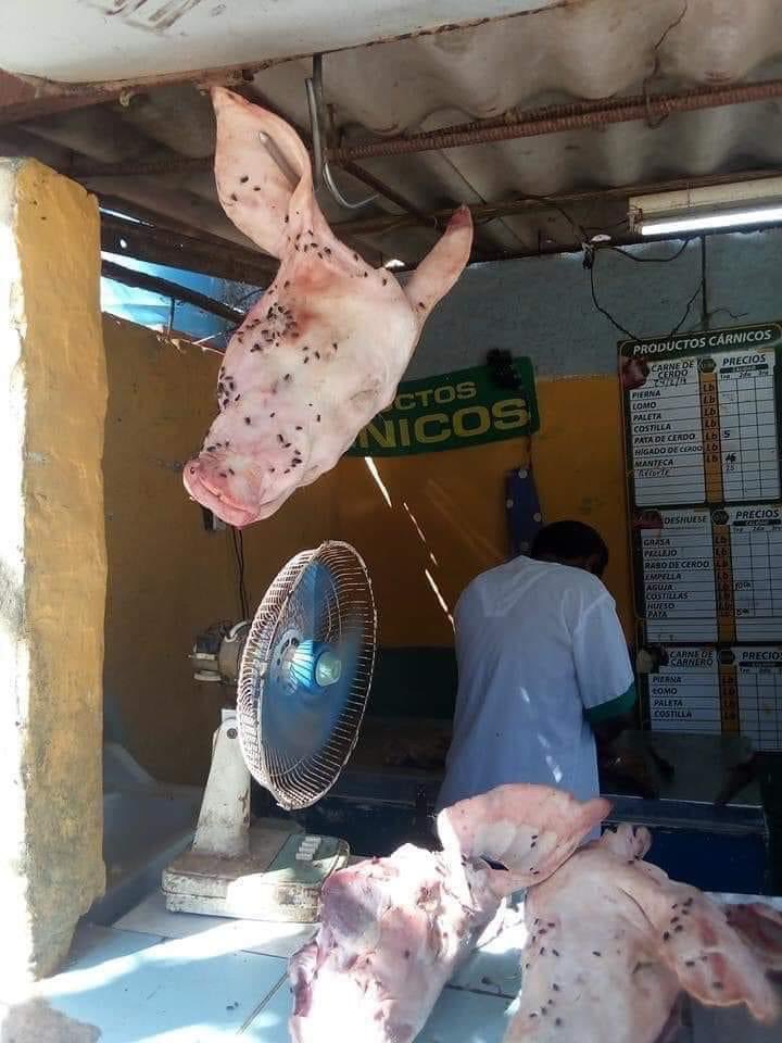 MIA_HAVANA's tweet photo. This is happening in Cuba, every day! Don’t let the government fool you. Poverty, misery and hunger. @Europarl_EN @charanzova @WHO @unasur @OEA_oficial #HelpUsForChange This’ll you fault @DiazCanelB @AsambleaCuba @BrunoRguezP #FreeElections #NoMoreCommunism https://t.co/y5RyaBsqiC