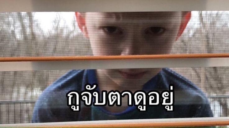 @อ่านไบโอ tweet media