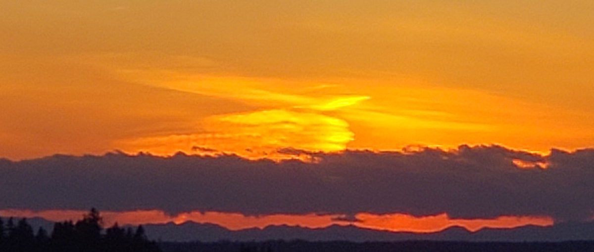 Sunset Saturday 🌇