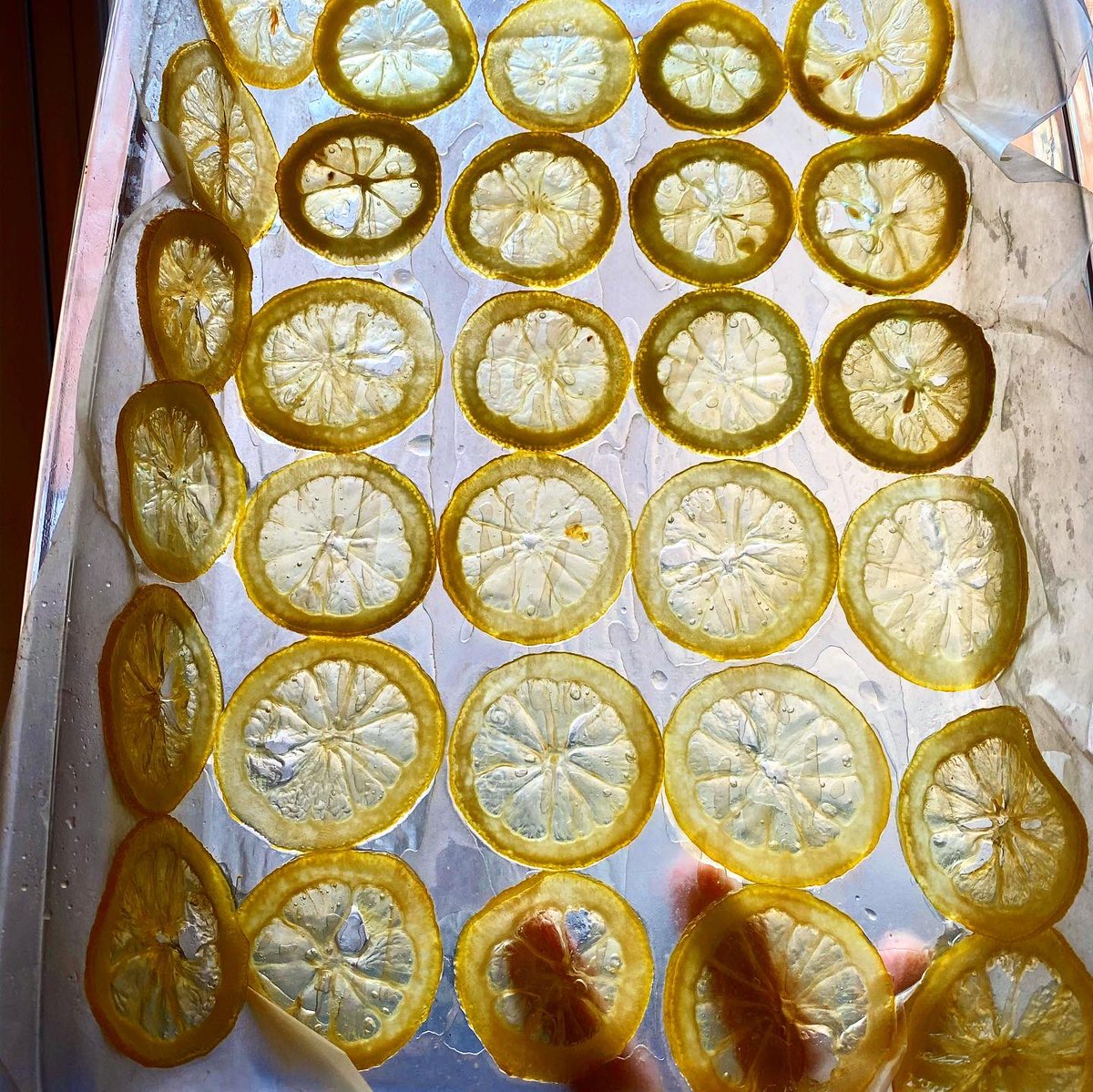 TheVikasKhanna's tweet photo. Happy Easter Sunday Everyone. .
Preparations going for my First Insta Live on 
https://t.co/yyHFgaWVYn

@culinarycultureco 
With @virsanghvi @raajsanghvi 
10 am - NY Time
7.30 pm - Mom Time 
Super Excited. ❤️
#quarantinelife #appletart # #citruscake #EasterSunday https://t.co/UpsiNefPQh