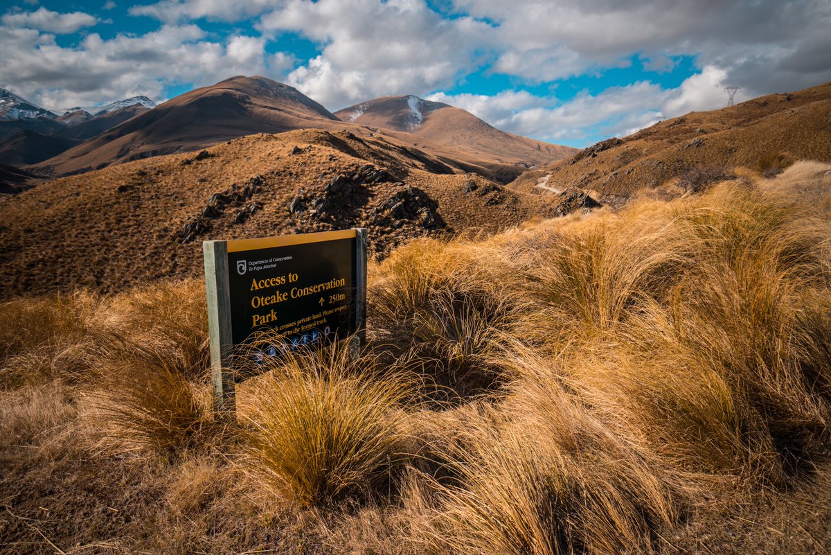 And one of the best ways to get from  @LoveDunedin to the Mackenzie, is via the breathtaking Dansey's Pass.Normally only an hour or so drive, last Sept on my own, took 6hrs just to get to the summit.  #BitsOfNewZealand