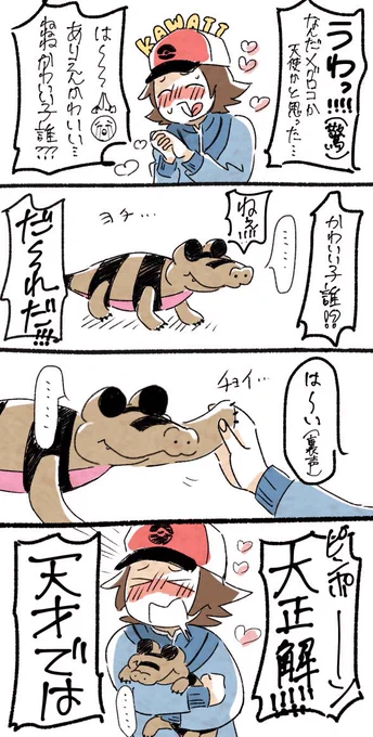 メグョコ族再掲 