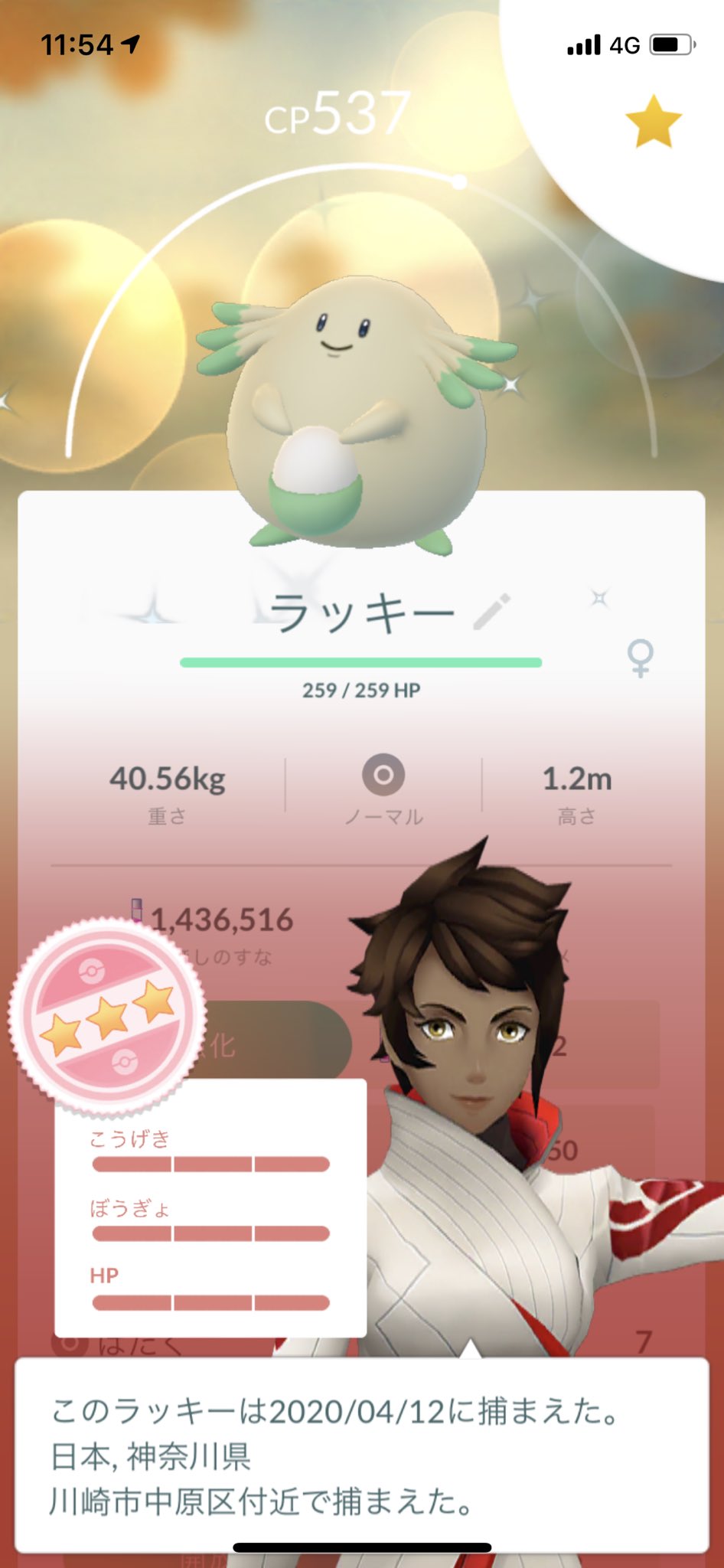 Bomax 在 Twitter 上 もう一度自慢させてください 個体値100の色違いラッキーです 勝ちました ポケモンgo 色違いポケモン 色違いラッキー T Co 51lxqhenxf Twitter