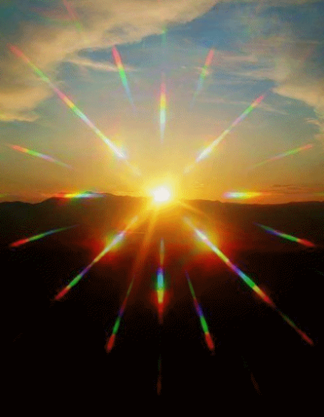 Mille Seymour (@milleseymour) on Twitter photo 