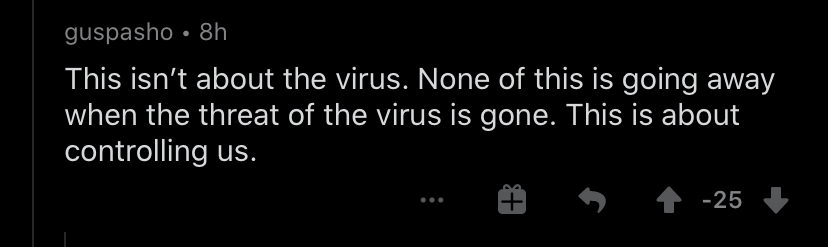 But I’ve also seen some wannabe-truthseeking-gotta-save-the-sheeple-type conspiracy theorists giving their 2¢ about how this is a plot to control the public… And yes, there IS an element of controlling people because some of these folks don’t know what “stay at home” means.