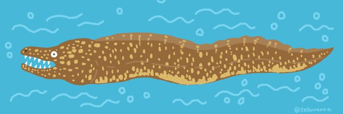 うつぼのtwitterイラスト検索結果