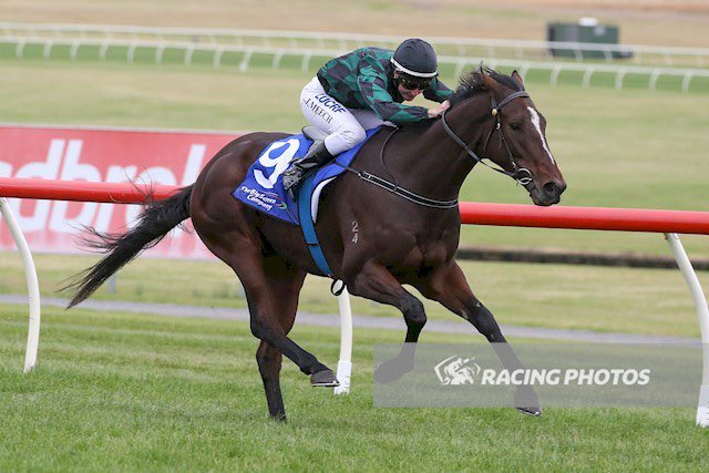 James Tzaferis tweet media