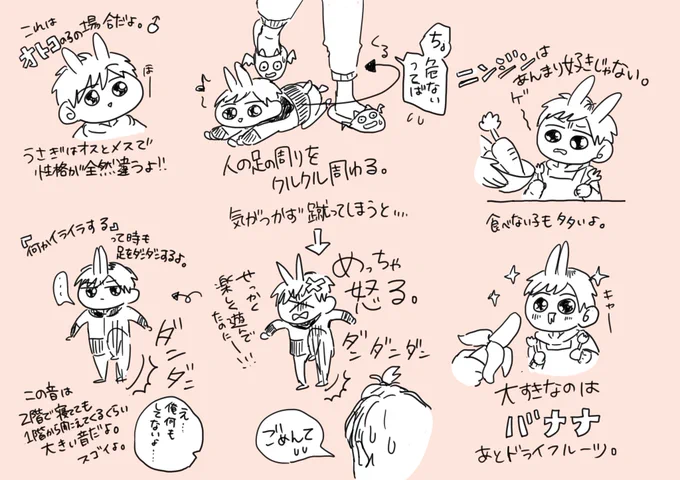 うさぎって実際こんな生き物だよって言うのを描いてみた!
万年発情って有名だけど、本当にそうだよ!あくまでもウチのウサギ参考ですが、突然ウサギになってしまった恋人設定のお話かくときの参考にして下さい!(謎) 