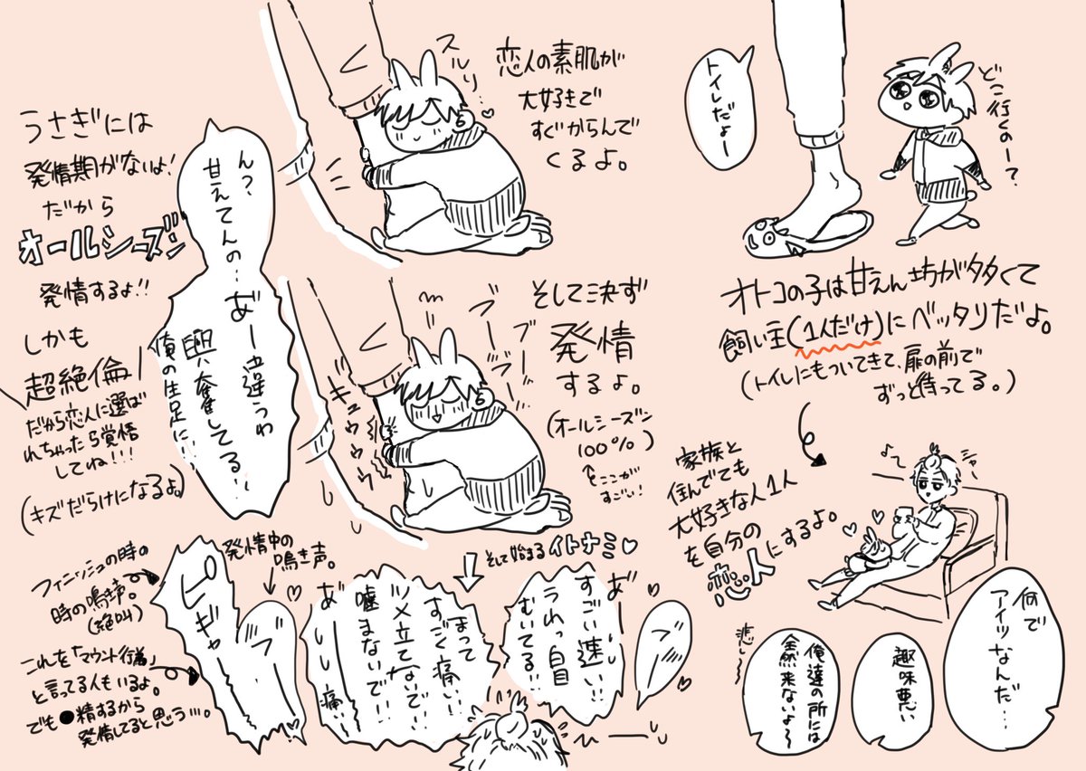 うさぎって実際こんな生き物だよって言うのを描いてみた!
万年発情って有名だけど、本当にそうだよ!あくまでもウチのウサギ参考ですが、突然ウサギになってしまった恋人設定のお話かくときの参考にして下さい!(謎) 