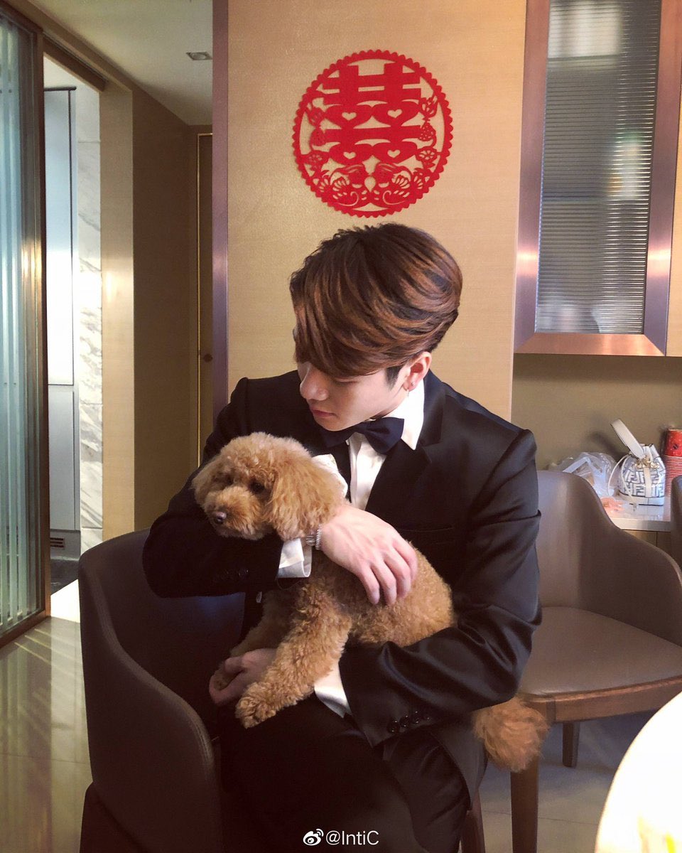 jackson wang with puppies: a devastating thread