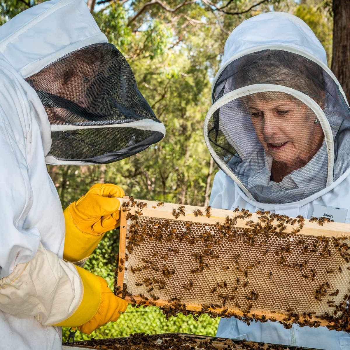 Easter 2020 Club Member News - mailchi.mp/5ae4a698c9b5/u…