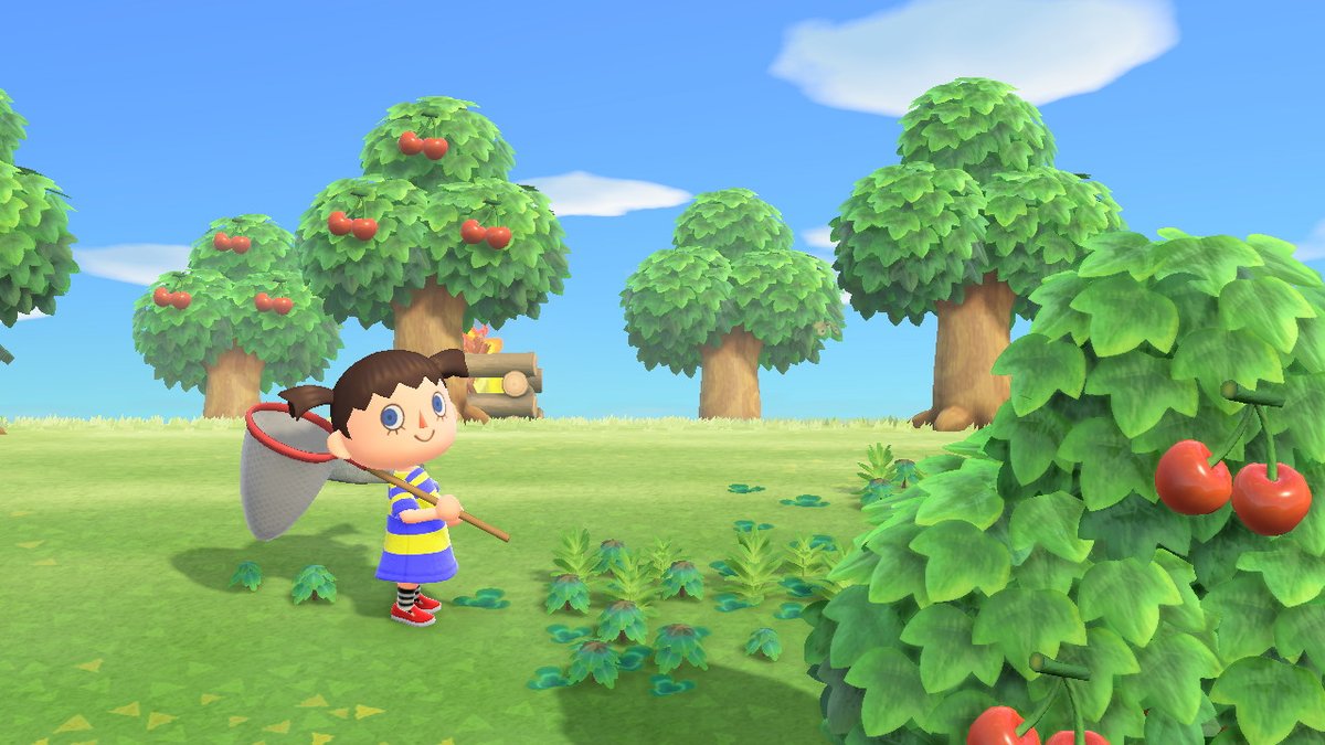 dvdvlvk's tweet photo. oh god! ho e tilbake #AnimalCrossing #ACNH #NintendoSwitch https://t.co/iSbjGGHLK6
