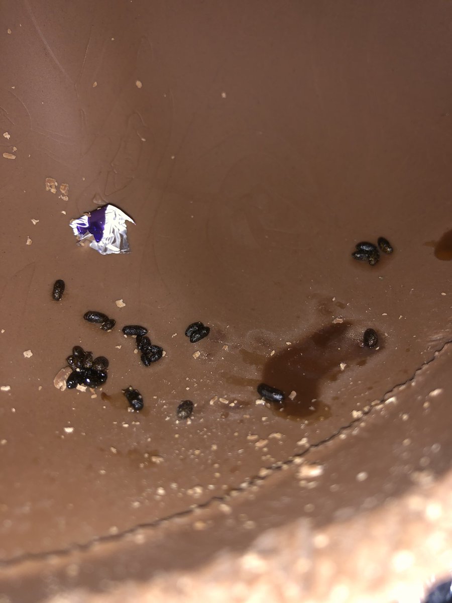 NickiJSharp's tweet photo. Absolutely disgusted &amp; devastated for my little girl. She opened her Easter Egg this morning to find it half eaten &amp; with animal poo inside. Revolting! #Cadbury please help! https://t.co/nspbXqewAU