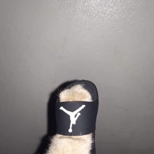 🐾 (@moebaekho) on Twitter photo 