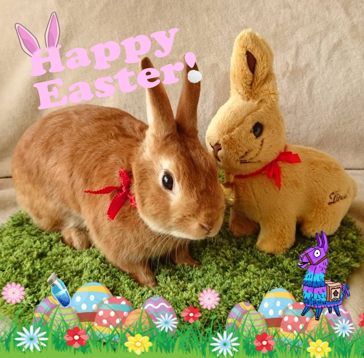 kkffccyy's tweet photo. 今日はイー��ター🐰🥚
外出自粛でお外に出れませんがおうちで素敵な日を🐥🎶 https://t.co/s4xRBZLyhh