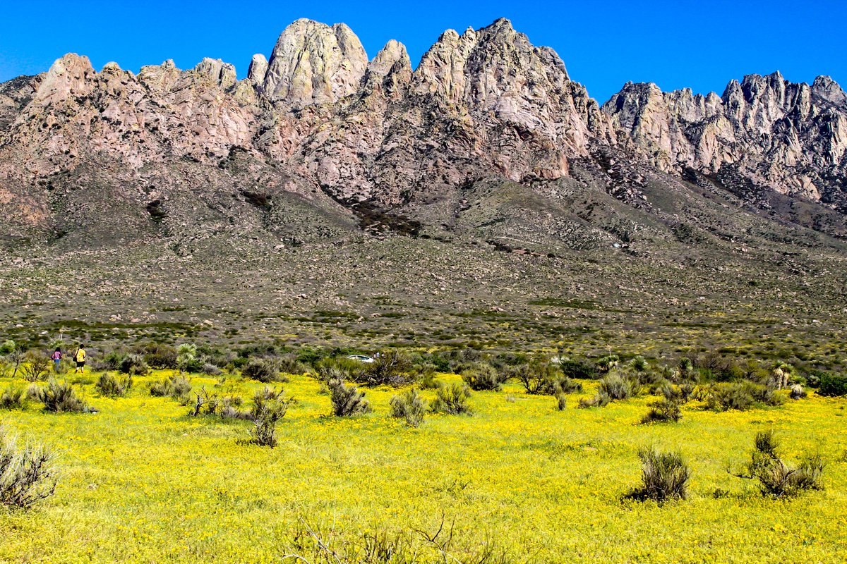 Those Mountains though 😍😍 #OrganMountains #NewMexicoPhotography #NewMexicoPhotos #NewMexicoTrue #LasCruces #NewMexico #575 
📸💳: Me 🙋🏽‍♂️