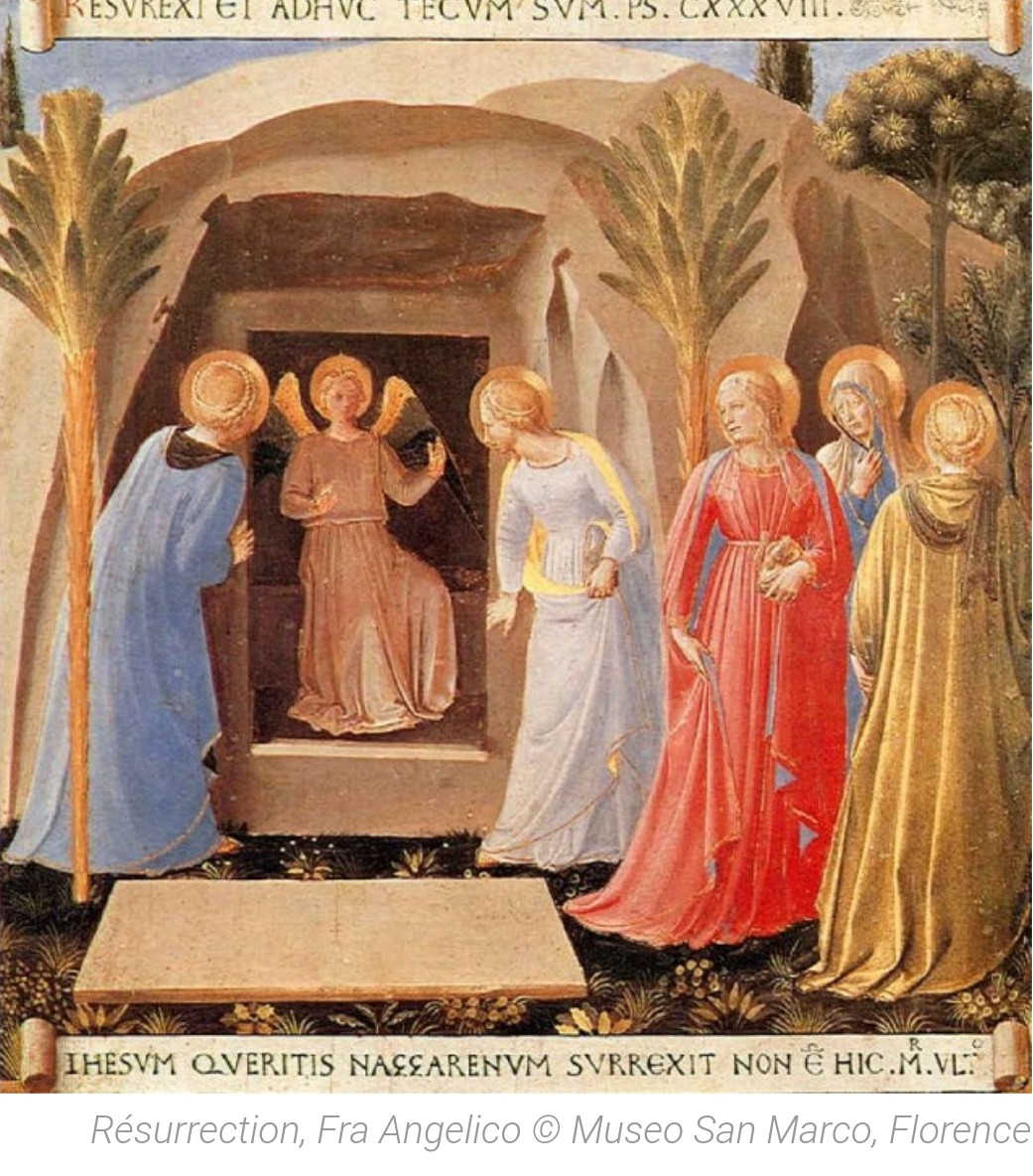 Renouveau Twitter Search