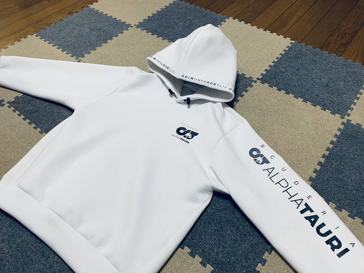 コテコテ Coteda Alphatauri 公式ウエアが当たんないので自作した 奥さんと子供に 自粛生活満喫しとるね って 褒められた W Alphataurif1 シルエットカメオ シルエットジャパンアワード カッティングマシン レッドブル 白いレッドブル