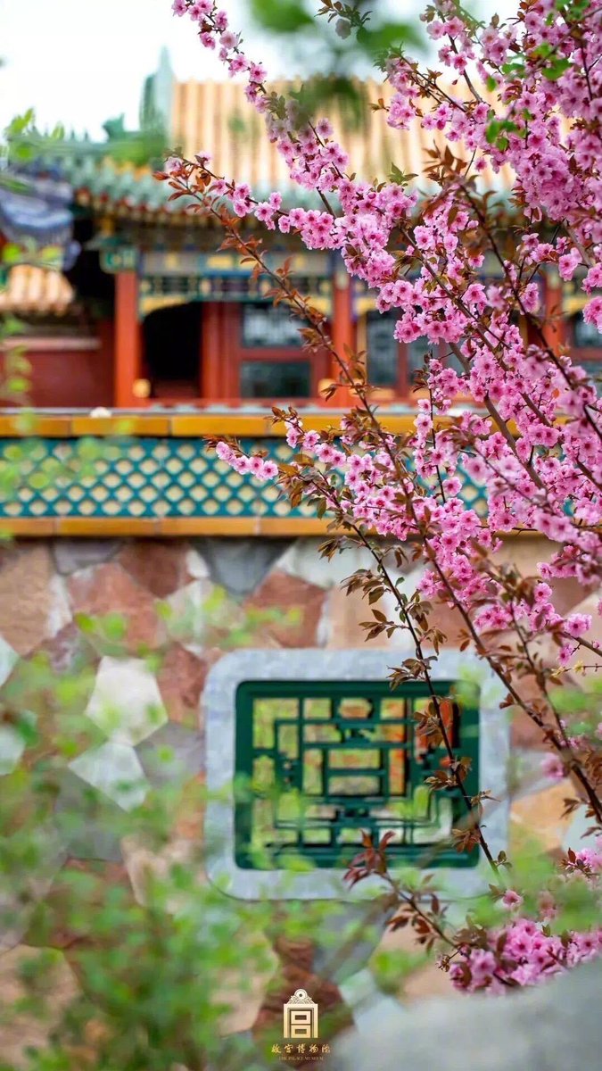 nibaba20144746's tweet photo. #China Flowers in the Palace Museum, China https://t.co/P1gUDRZFuq