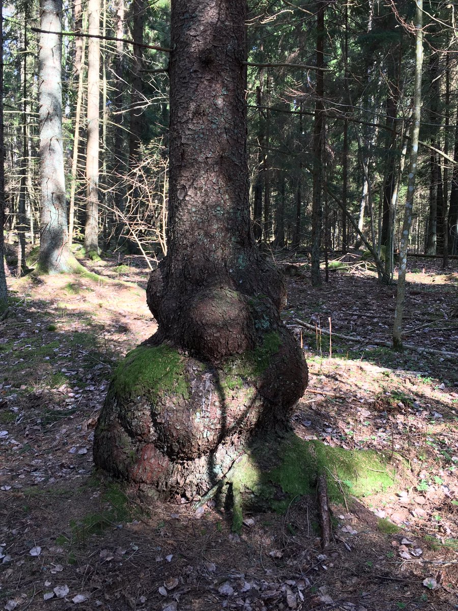 #mylifeinpictures Ei ihmisiä, ei sanoja. Minut haastoi <a href="/forslund_jaana/">Jaana Forslund</a> ja <a href="/JohannaWaltonen/">Johanna Waltonen</a>