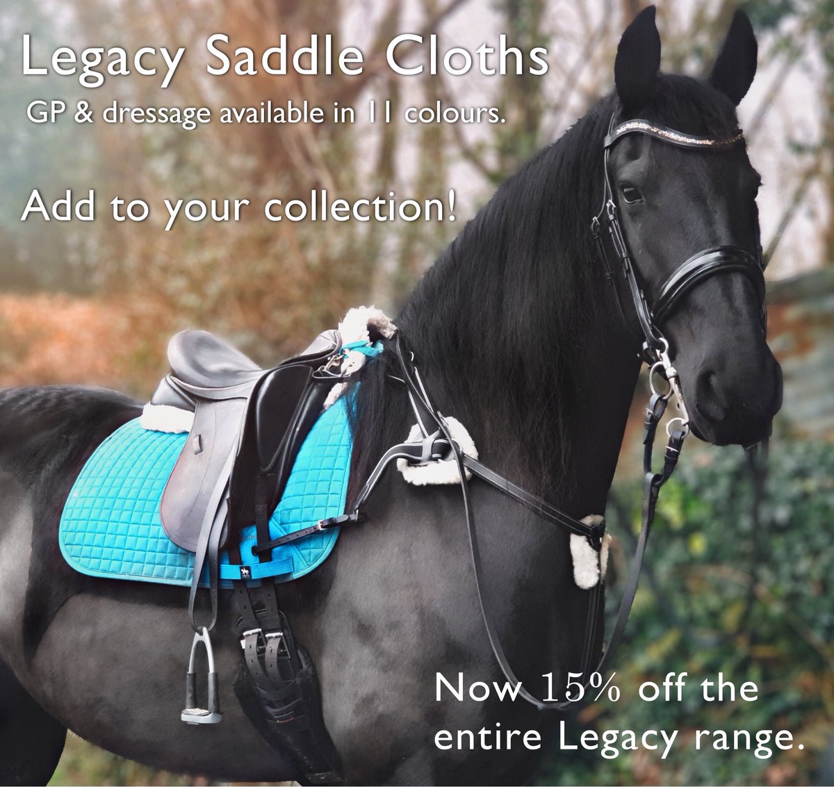 LegacyJods's tweet photo. ✨Enjoy 15% off our saddle cloth range!✨ ⠀
Our beautiful shades are perfect for Summer ☀️⛱⠀
What's your favourite?🌈
📸: @friesianwanderess 🙏⠀
⠀
Available in Dressage &amp; GP, sizes pony/cob &amp; full.
https://t.co/mncbRRYK8l
#legacyequestrian #lovelegacyeq #ukequestrian https://t.co/euBF2gOyxT