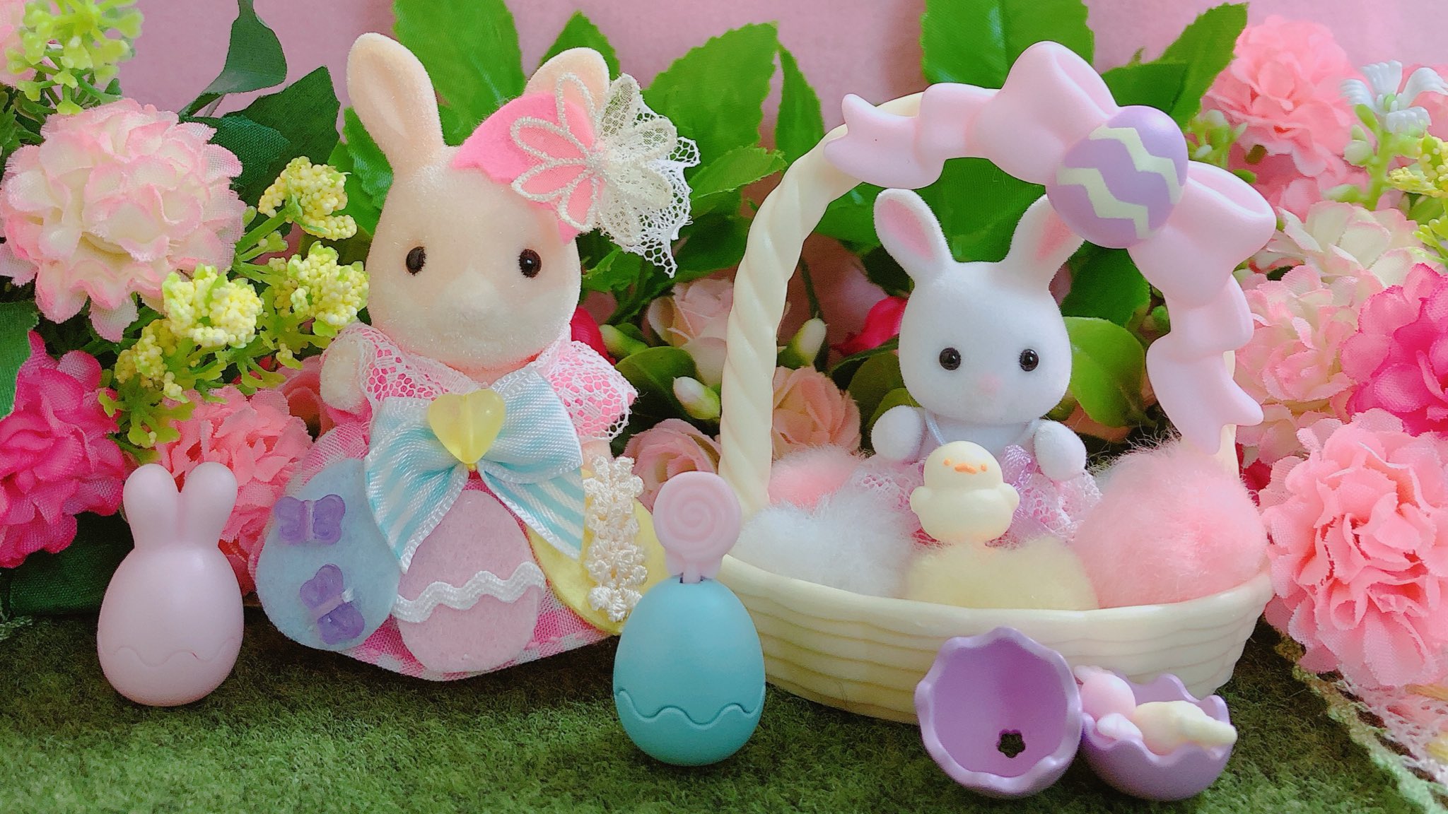 ひよこ🐣 on Twitter: