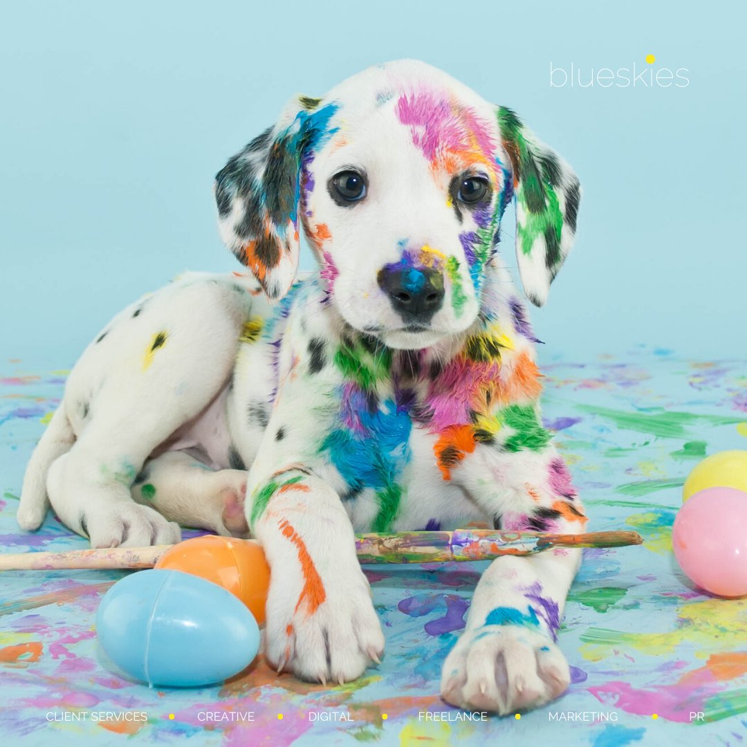 Happy Easter everyone. We hope this super cute puppy picture makes you smile today! 

#happyeaster #puppylove #puppiesofinstagram #eastereggs #creativelifehappylie #creative #keepsmiling