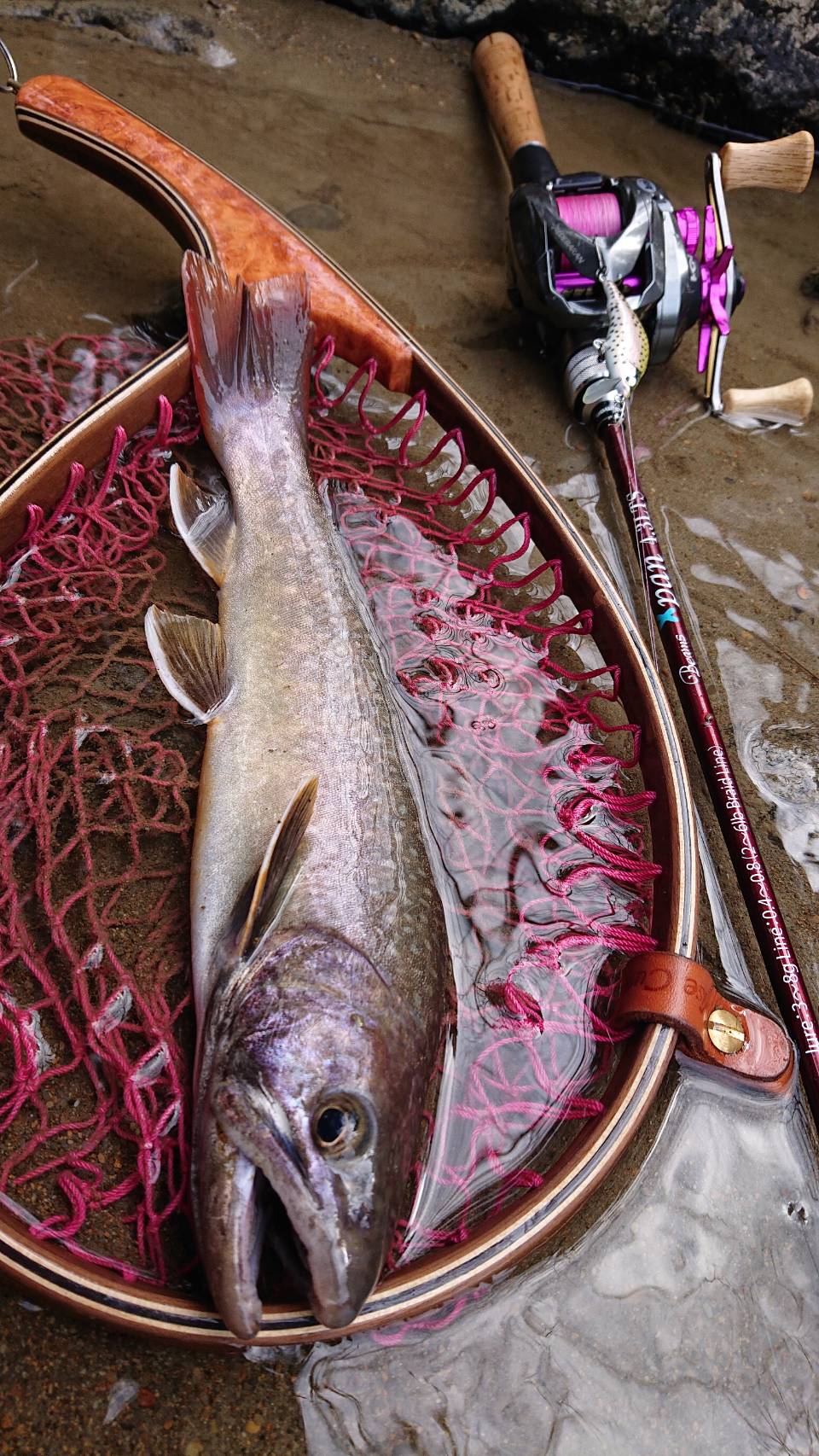 シンドラー Twitter Search Twitter