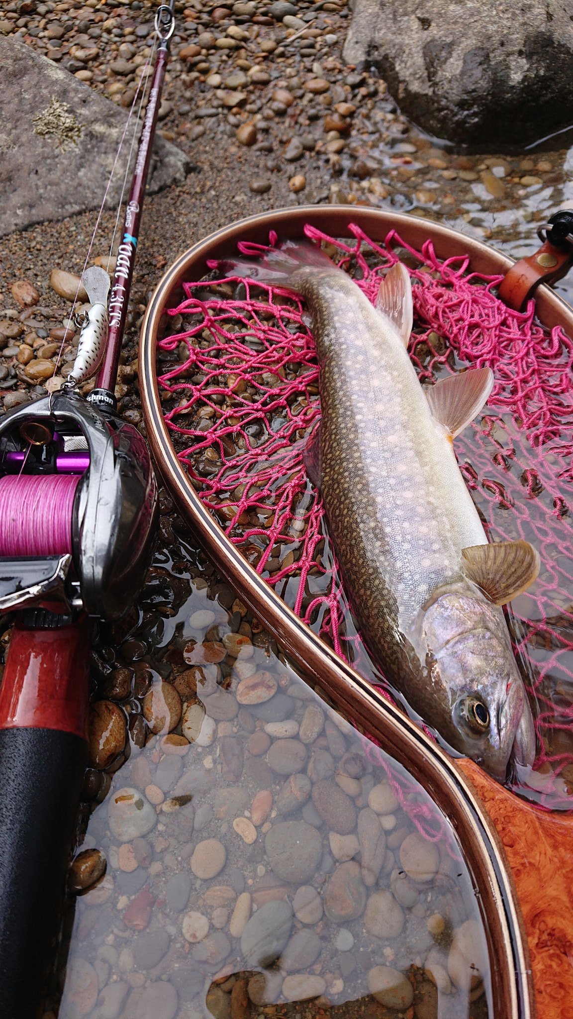 シンドラー Twitter Search Twitter