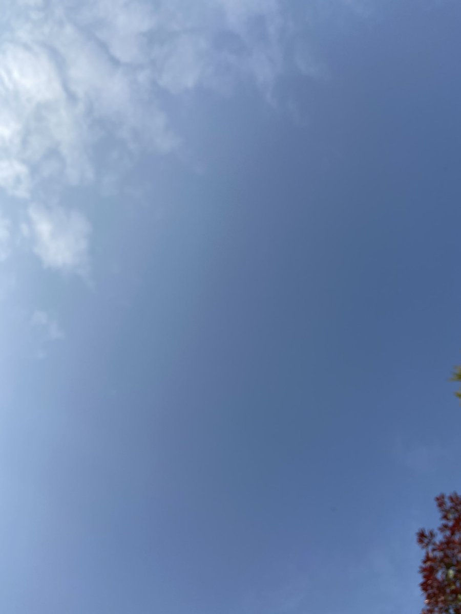 HenryBorderT's tweet image. No planes, trains or automobiles! Just the sounds of Mother Nature- so many wild birds we don’t normally see or hear - really quite nice!