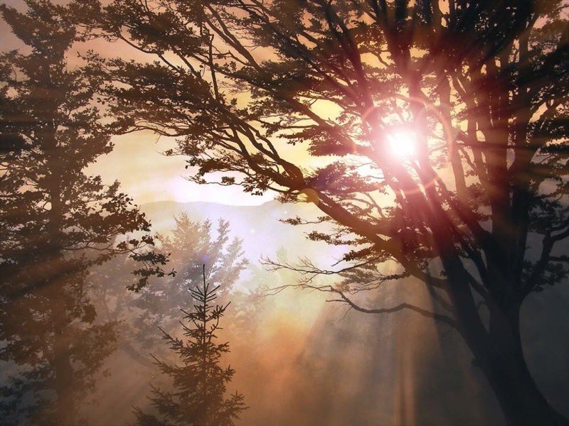 “The Resurrection is the eucatastrophe of the story...There is no tale ever told that men would rather find was true...this story is supreme; and it is true. Art has been verified. God is the Lord, of angels, and of men—and of elves.”
—J.R.R. #Tolkien #Easter