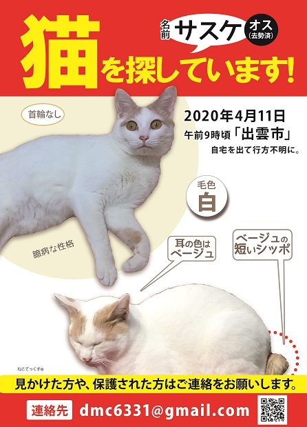 ট ইট র ねこてっくす 迷子猫 迷子鳥 迷子犬 迷子ペット チラシ制作 迷子猫 サスケくんを探しています 4 11島根県で迷子に 耳と尻尾がベージュの白猫の男の子 首輪なし 目撃 保護情報をお待ちしています 迷子猫 迷い猫 飼い猫 白猫 茶白猫