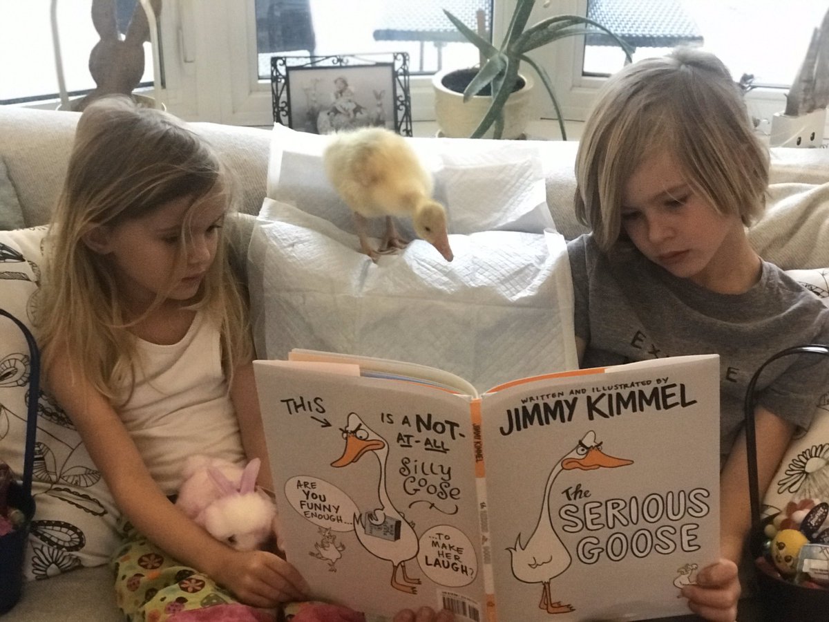 SearsMachine's tweet image. Hoppy Easter!!! @jimmykimmel