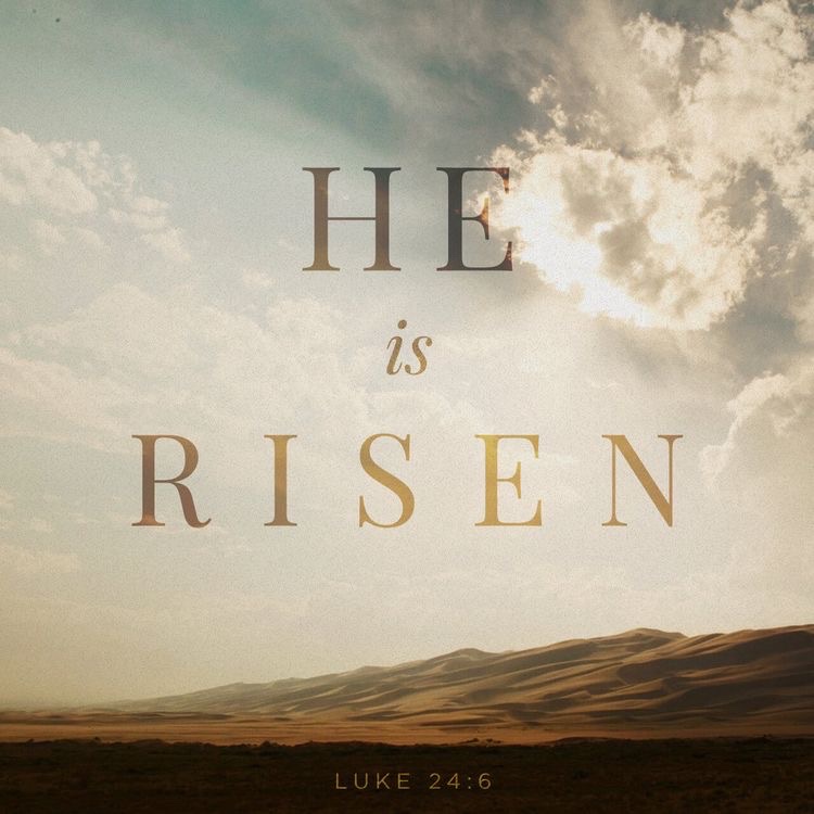 SoundSolomon's tweet photo. Luke 24:6-7 He is Risen, He was raised up! #npeaster #npbc https://t.co/wdq5LCel3H