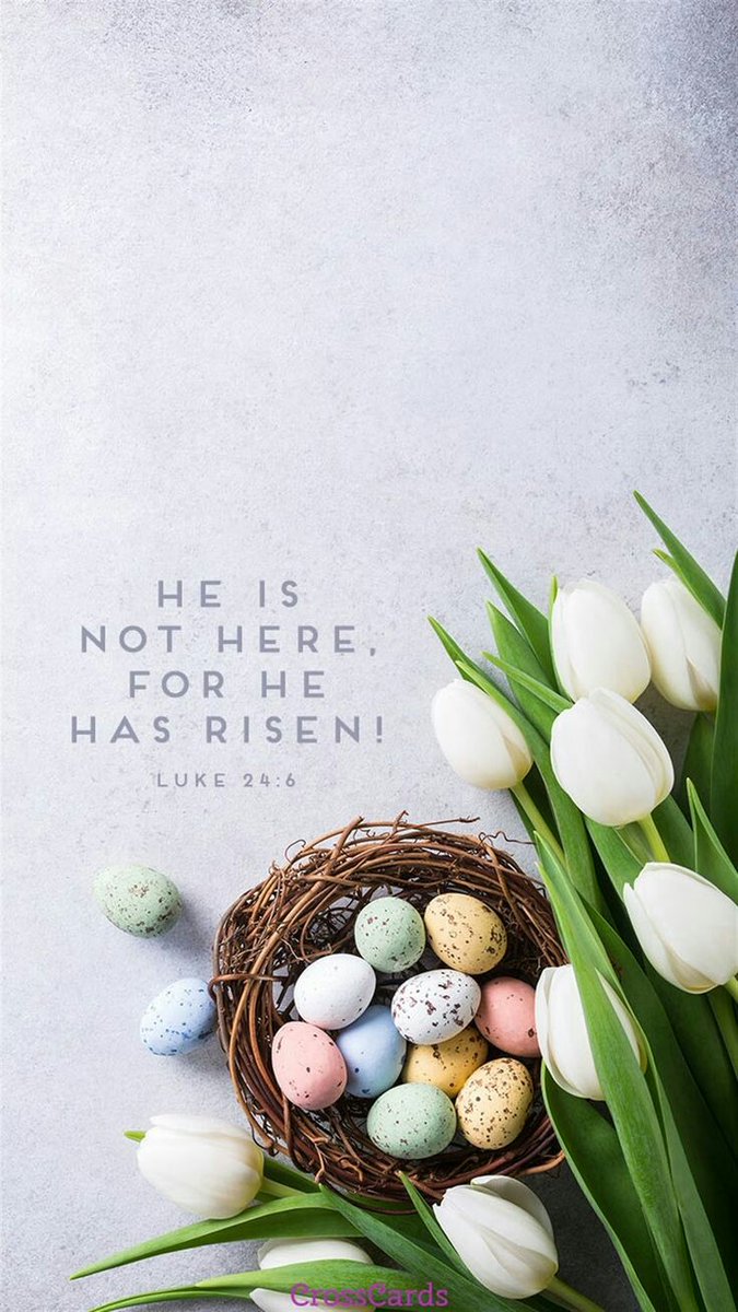 NewCrystalGroup's tweet photo. Happy Easter everyone. Remember the reason for the season; Everlasting Hope.
This too shall pass.
#happyeaster 
#everlastinghope
#healing 
#jesuslivesforever 
#Resurectionsunday
#HesAlive 
#HeIsRisen https://t.co/Sg1R0LZefd