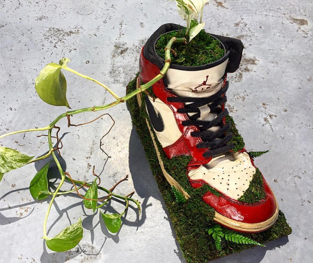CaminoTV's tweet photo. Kosuke Sugimoto transforme des paires d’archives non utilisables en pot pour des plantes 🌱

Des Nike Air Chapuka de 2001, des Air Max 95 de 2003, Kosuke est un vrai sneakerhead et détestent voir ses paires mourir 🙏

https://t.co/aeXnWfq3Ca https://t.co/tHiAVFHc4s