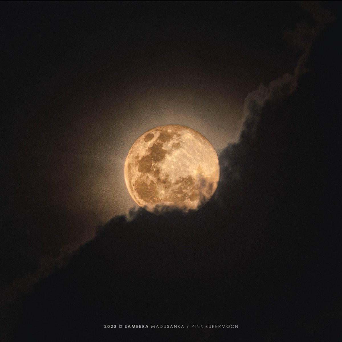 Sameera20009348's tweet photo. #pinkmoon #2020 #QuarantineDay25 #supermoon #moonrise #agameoftones #beautifuldestinations
#discoverearth #earth_shotz #earthofficial #earthfocus  #astrophotography #nature 
Follow me ⤵️
↘️ https://t.co/f826JEFR9L
↘️ https://t.co/nwdjEyW2Mg https://t.co/rPJQU1fFGU