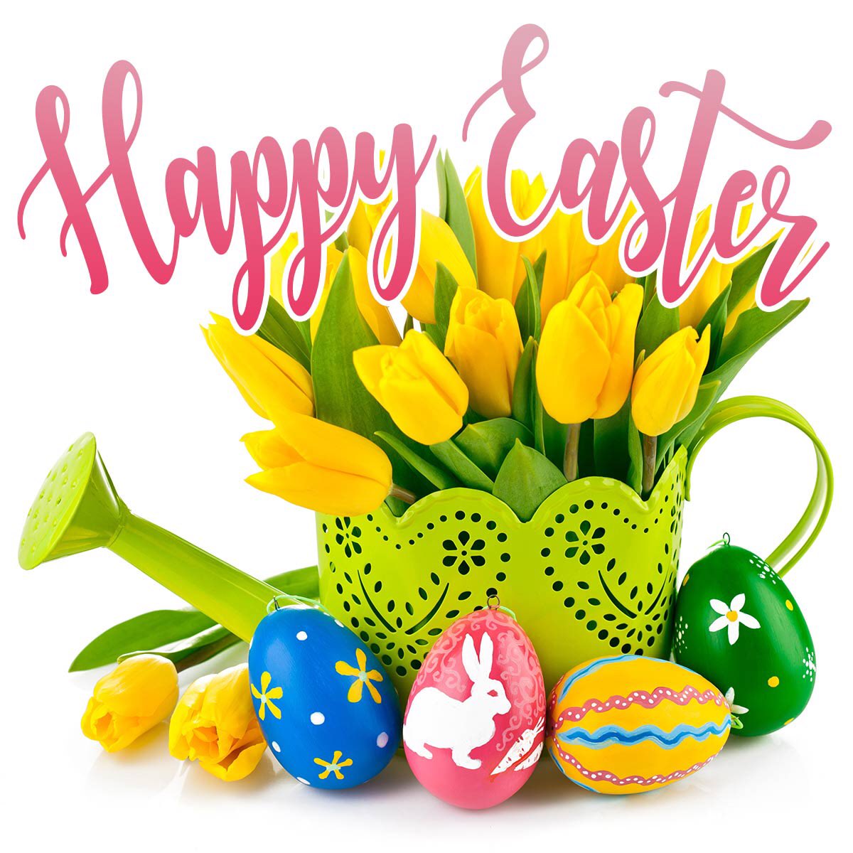 From Our Blue Family to You!!