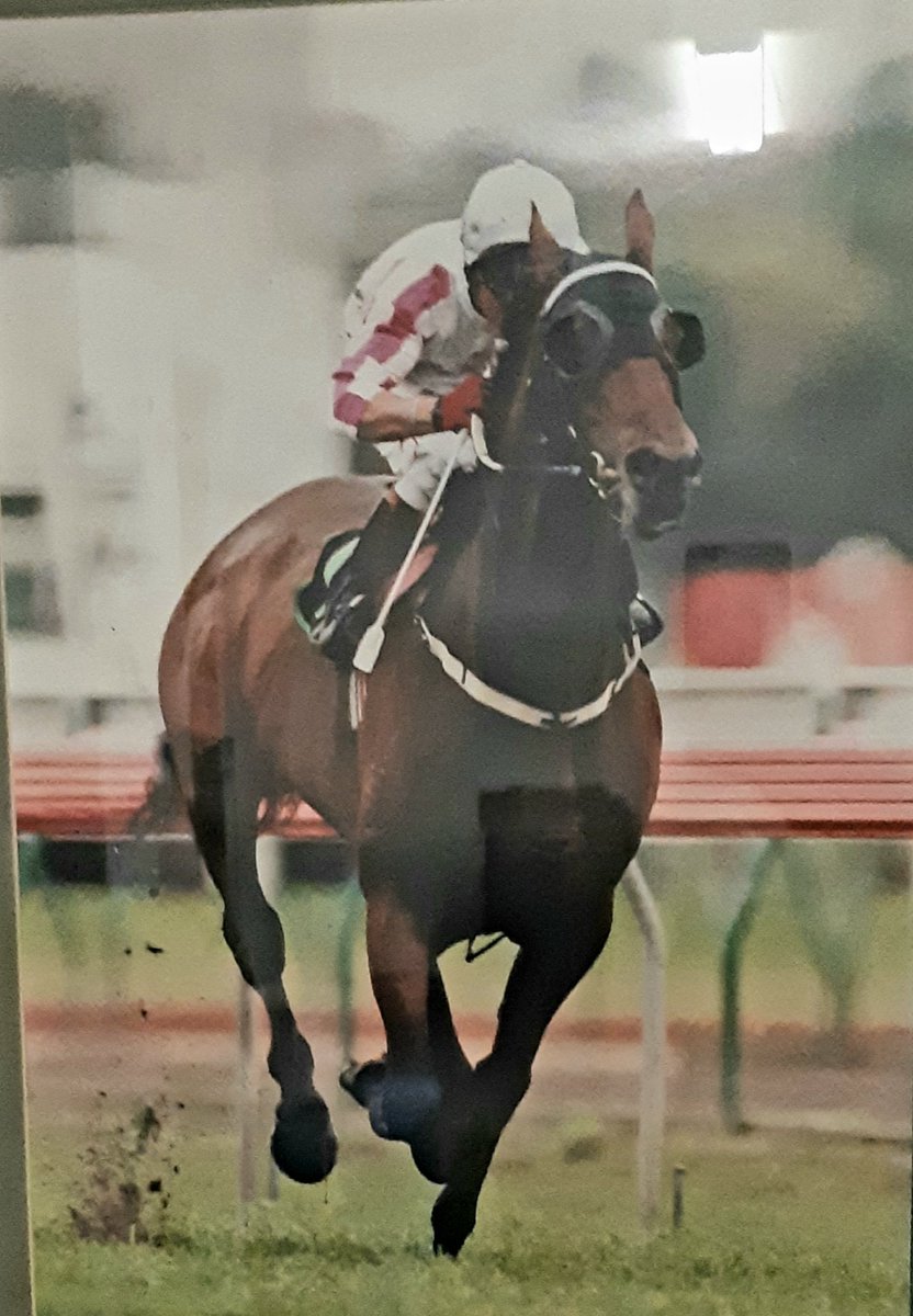 REST EASY BIG FELLA 🙌💔