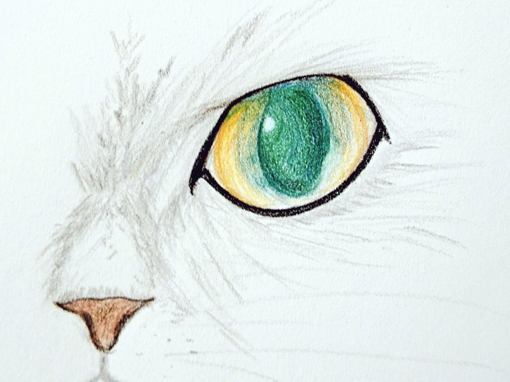 Twitter 上的 Dodo 猫の目 絵の練習 イラスト練習 猫の絵 色鉛筆 T Co Zjuiqls3bz Twitter