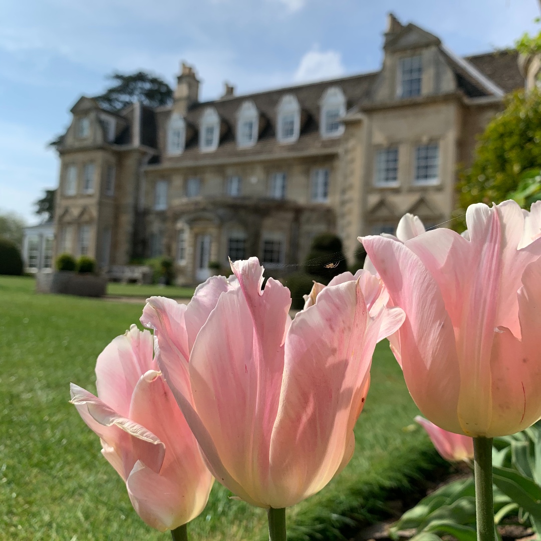 Witham Hall Pre-Prep tweet media